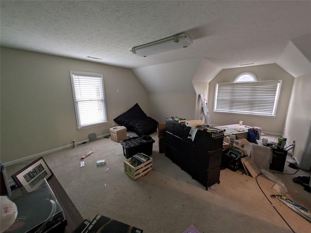 405 Baneberry Bnd, Peachtree City, GA 30269 - additional living space featuring vaulted ceiling, carpet, and a textured ceiling