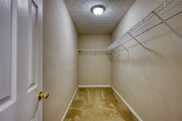 spacious closet featuring light colored carpet