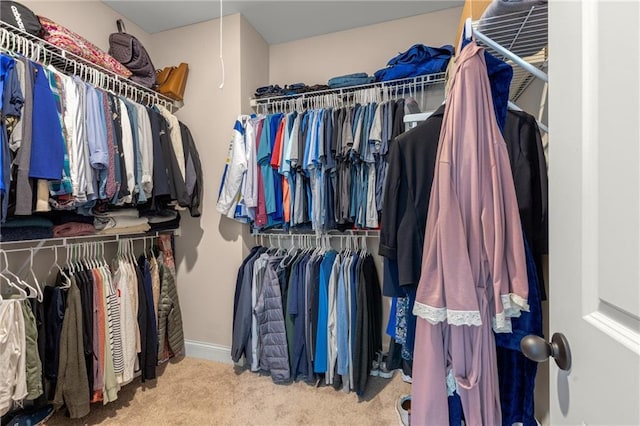 508 Windy Ridge Ct, Canton, GA 30114 - walk in closet featuring carpet
