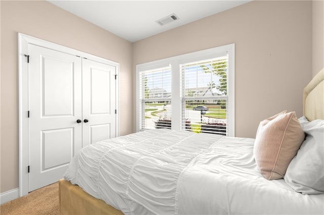 508 Windy Ridge Ct, Canton, GA 30114 - bedroom featuring light carpet and a closet