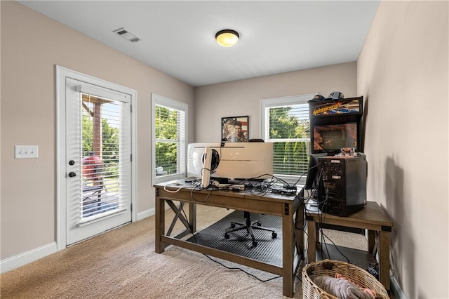 508 Windy Ridge Ct, Canton, GA 30114 - office space featuring carpet flooring and healthy amount of natural light