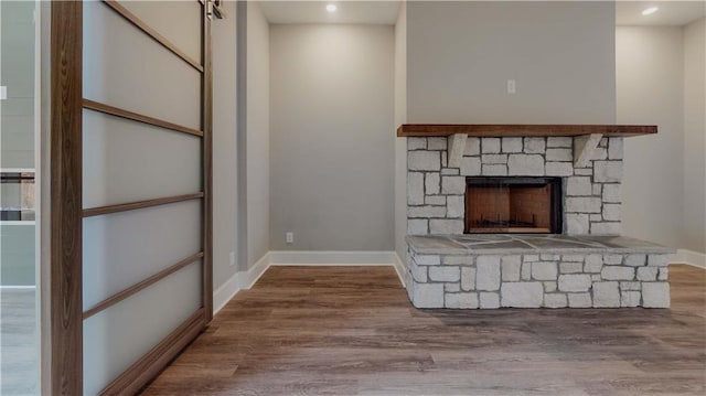 details featuring wood-type flooring and a stone fireplace