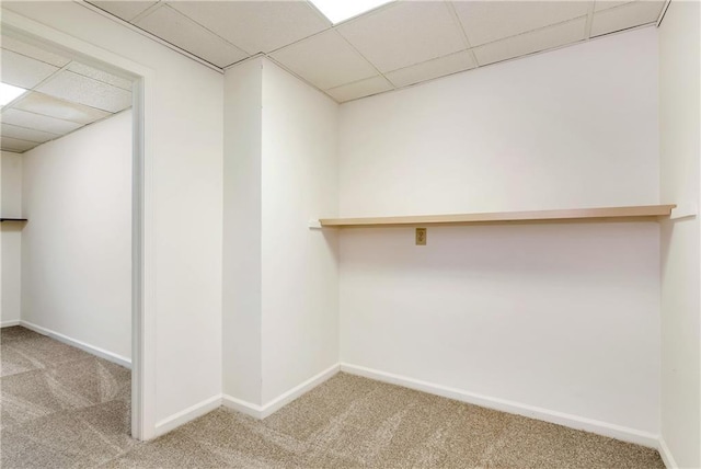 interior space featuring a paneled ceiling and carpet floors