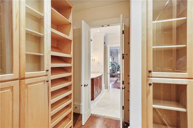 walk in closet with hardwood / wood-style flooring