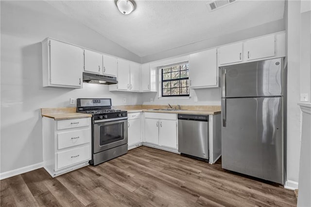 2044 Teal Cv, Lithonia, GA 30058 - kitchen with appliances with stainless steel finishes, a sink, lofted ceiling, under cabinet range hood, and visible vents