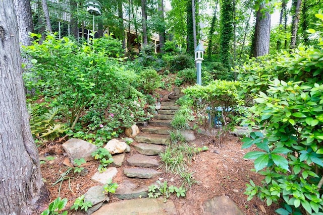 3910 Meeting St, Duluth, GA 30096 - view of nature