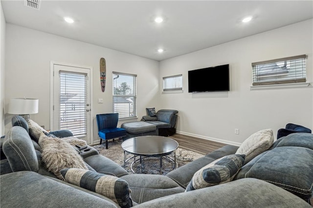 living room with wood-type flooring