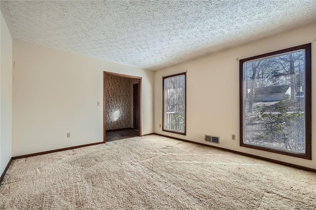 spare room with carpet flooring and a textured ceiling