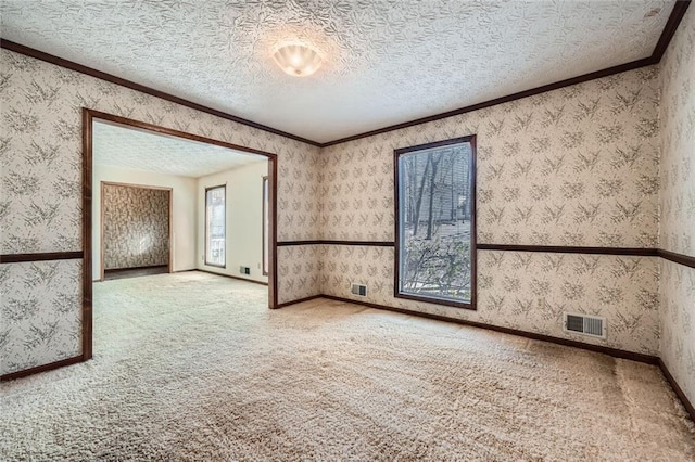 spare room with ornamental molding and carpet flooring