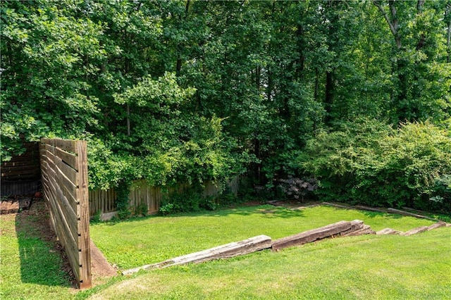 3778 Berdon Ln, Decatur, GA 30034 - view of yard