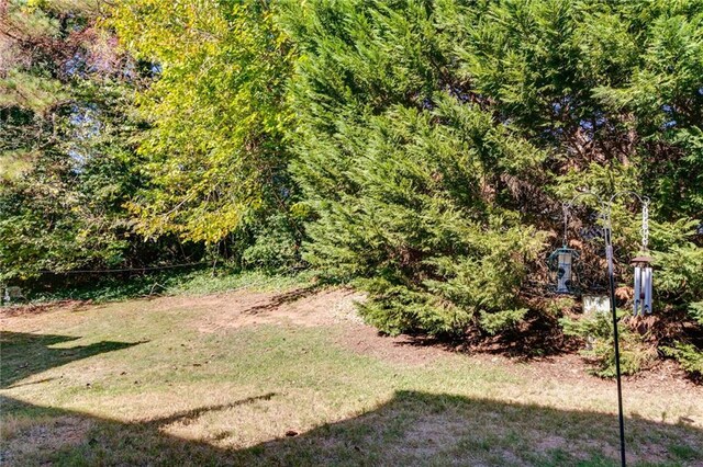 view of yard