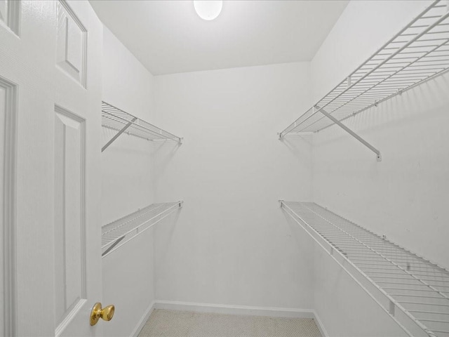 740 Orchard Ct, Atlanta, GA 30328 - view of walk in closet