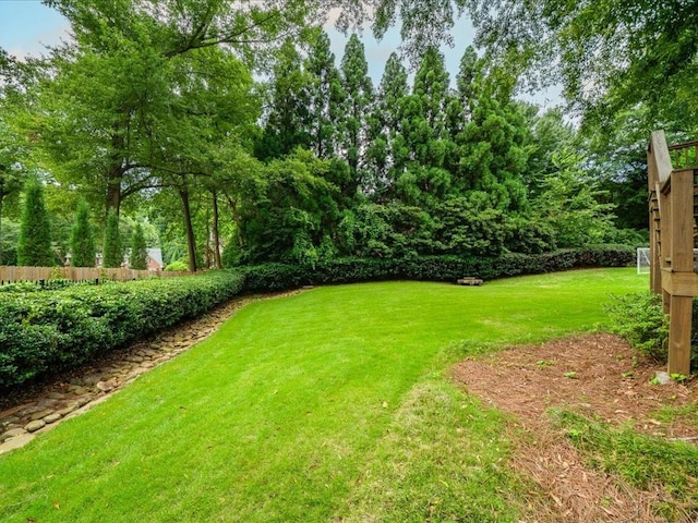 740 Orchard Ct, Atlanta, GA 30328 - view of yard