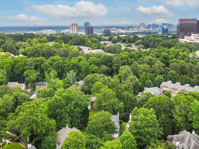 740 Orchard Ct, Atlanta, GA 30328 - view of urban area