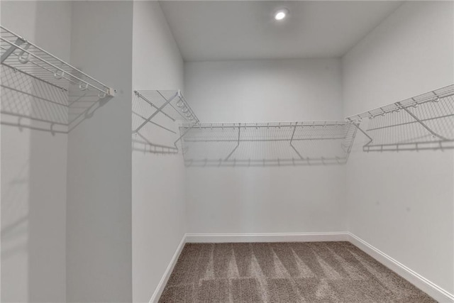 6270 Bracken Brown Dr, Alpharetta, GA 30004 - spacious closet with carpet floors
