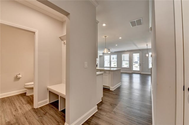 6270 Bracken Brown Dr, Alpharetta, GA 30004 - mudroom with dark wood finished floors, a ceiling fan, recessed lighting, and ornamental molding