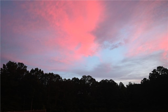6270 Bracken Brown Dr, Alpharetta, GA 30004 - nature at dusk featuring a forest view