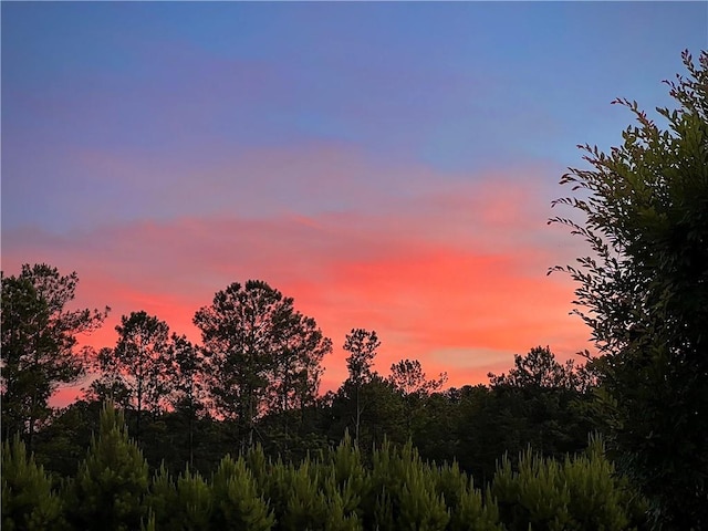 6270 Bracken Brown Dr, Alpharetta, GA 30004 - view of nature at dusk