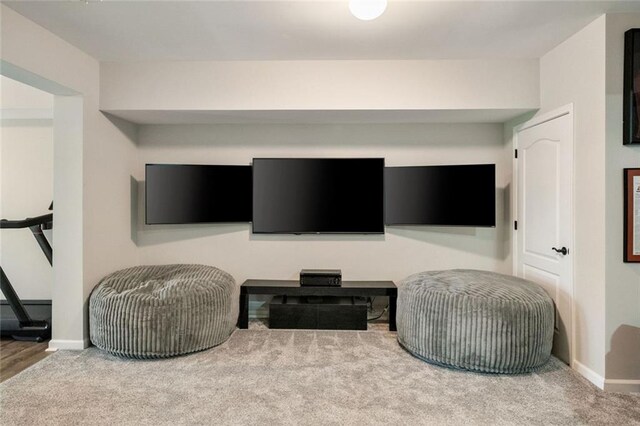 interior space featuring baseboards and carpet flooring