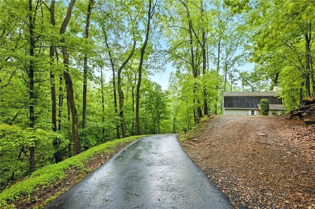 view of road with driveway