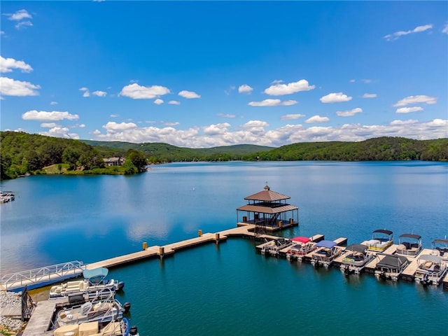 dock with a water view