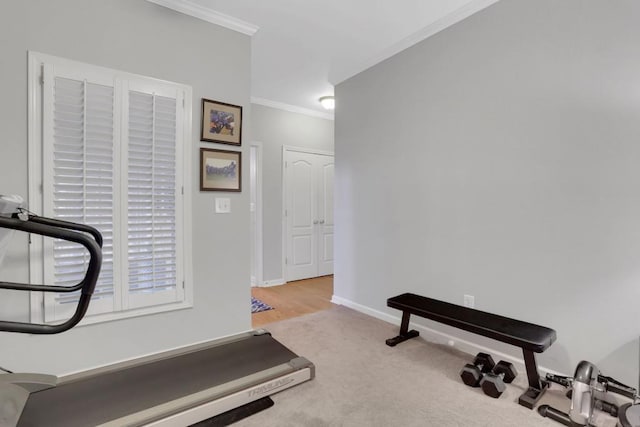 exercise room featuring baseboards, carpet floors, and crown molding