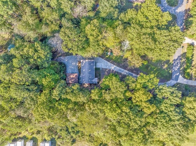 111 Sylvan Dr, Calhoun, GA 30701 - drone / aerial view