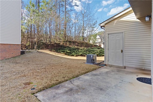 view of yard featuring a patio area