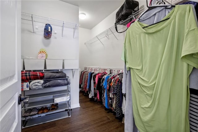 walk in closet with wood finished floors