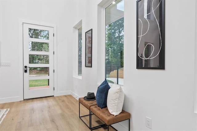 entryway with light wood-type flooring