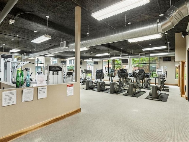 exercise room featuring carpet flooring