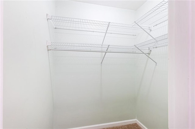 view of spacious closet