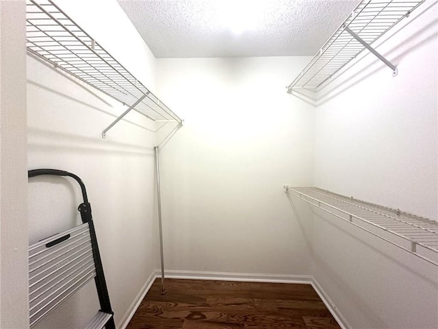 walk in closet with dark hardwood / wood-style flooring