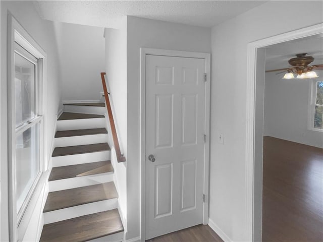 stairway featuring ceiling fan, a textured ceiling, and wood-type flooring