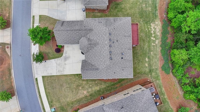 bird's eye view