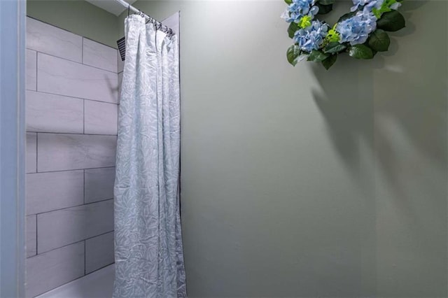 9 Woodberry Dr SE, Silver Creek, GA 30173 - bathroom with a shower with curtain