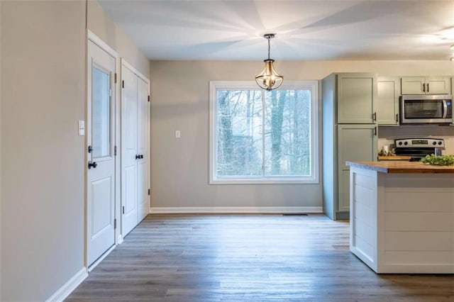 9 Woodberry Dr SE, Silver Creek, GA 30173 - kitchen featuring stainless steel appliances, baseboards, wood finished floors, hanging light fixtures, and a chandelier