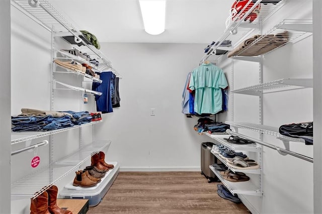 walk in closet with hardwood / wood-style flooring