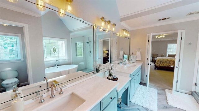 bathroom featuring a stall shower, double vanity, connected bathroom, plenty of natural light, and crown molding