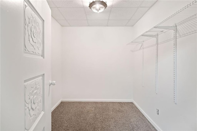 walk in closet featuring a paneled ceiling and carpet floors