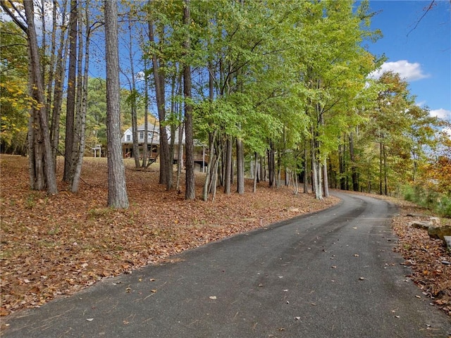 view of road featuring driveway