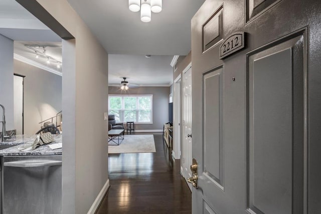 hall with sink, rail lighting, ornamental molding, and dark hardwood / wood-style floors