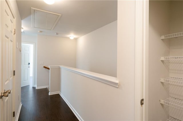 hallway featuring dark hardwood / wood-style floors