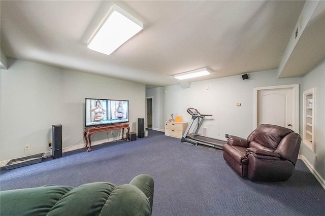 exercise area featuring carpet