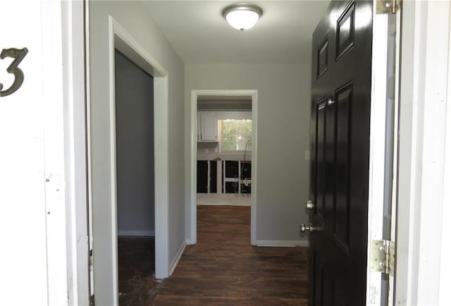 hall featuring dark wood-type flooring