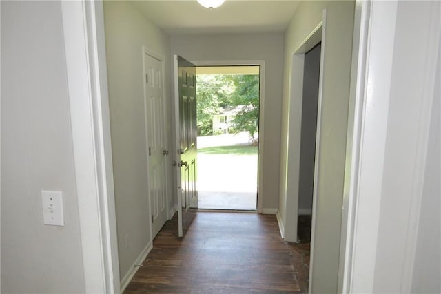 entryway with dark wood-type flooring