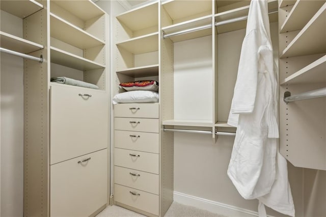 view of walk in closet