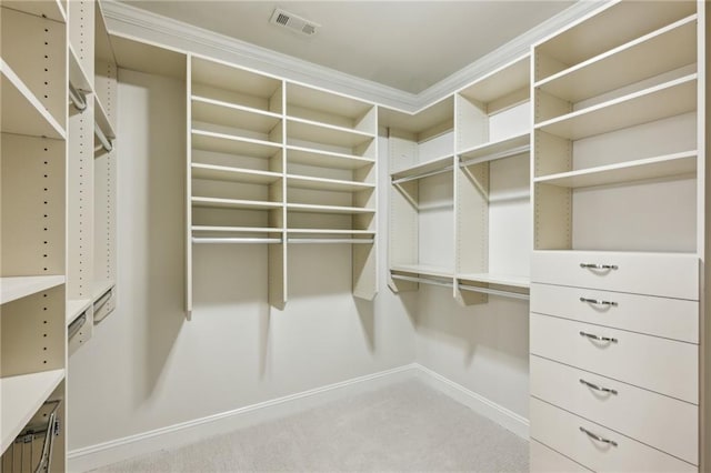 walk in closet featuring visible vents and carpet flooring