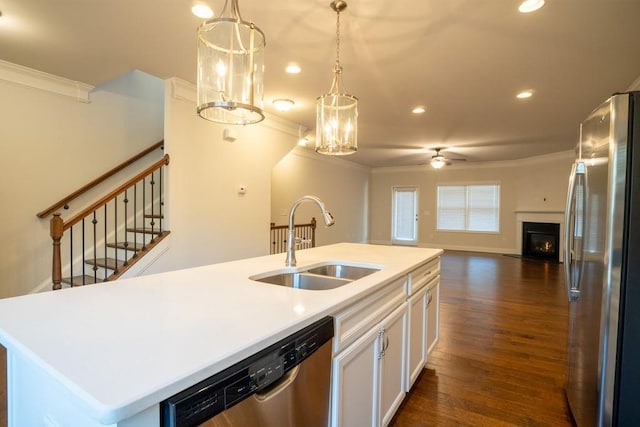 kitchen featuring appliances with stainless steel finishes, crown molding, ceiling fan, and a sink