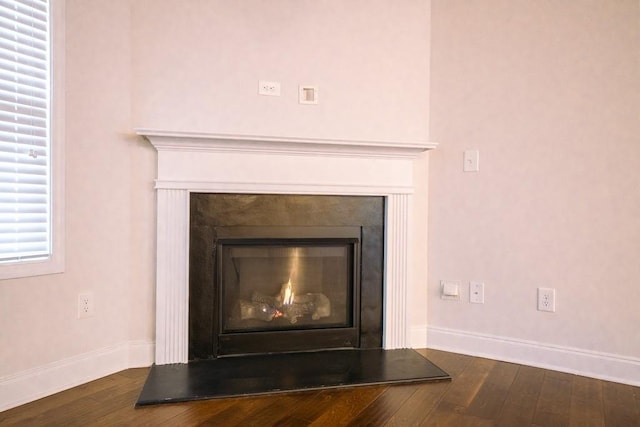 details with a glass covered fireplace, baseboards, and wood finished floors